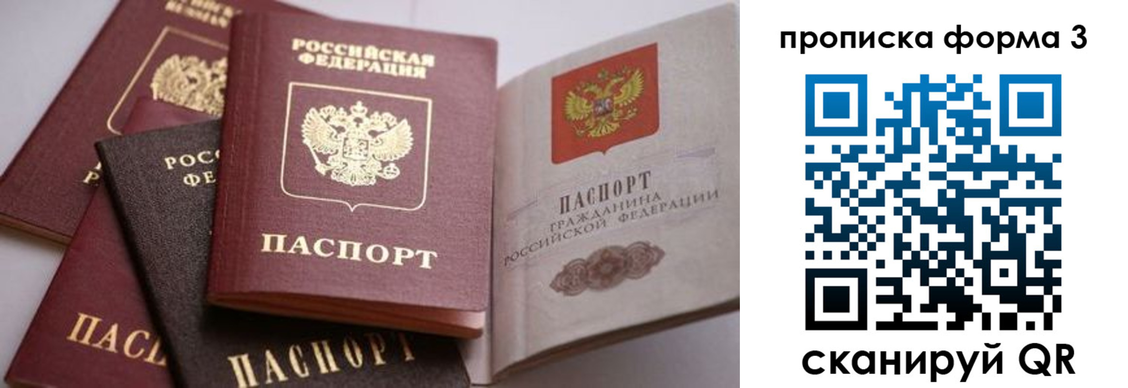 прописка для школы в Закаменске